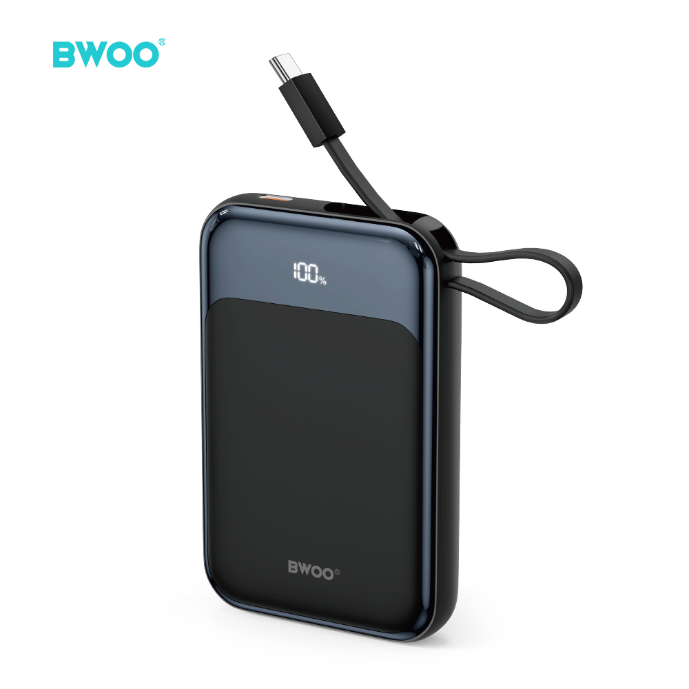 BWOO PD 20W 10000 mAh Akupank With Usb-c Kaabel and Ekraan P80 kuldne