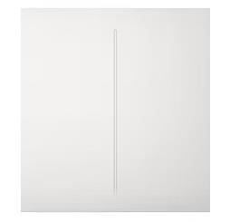 Ajax 45116 nutikas kesknupp 2 gruppi valge