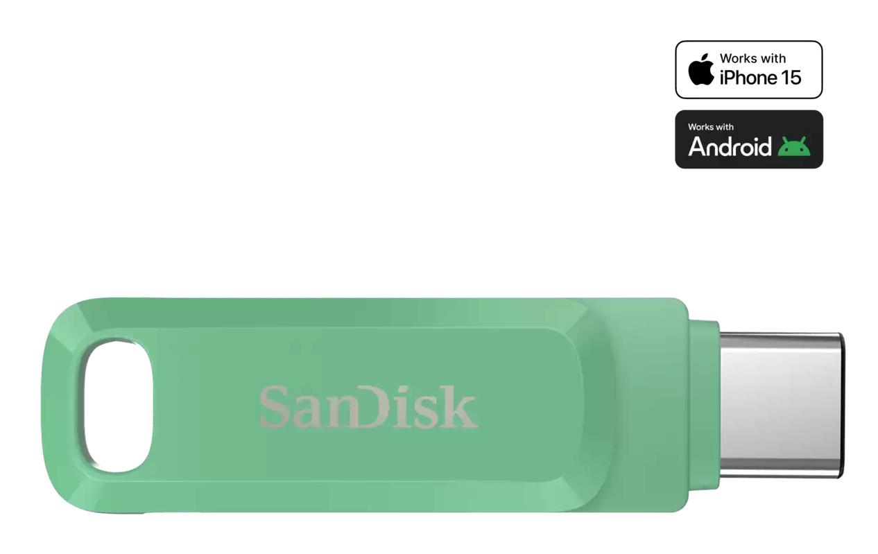 USB-C mälupulk SANDISK 512GB SDDDC3-512G-G46AG