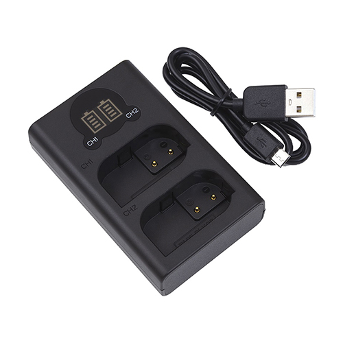 Laadija PANASONIC DMW-BLK22, Dual