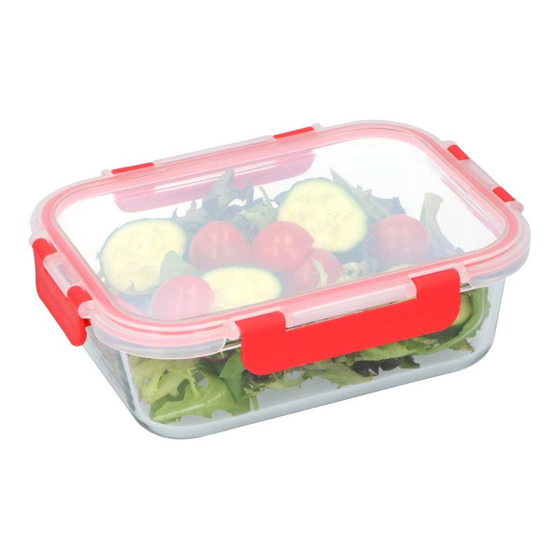 Alpina kaanega klaasist toidukarp, 21x16x6 cm, 1 L