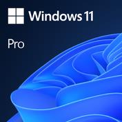Microsoft Windows 11 Pro GGK 64-bit OEM tarkvara