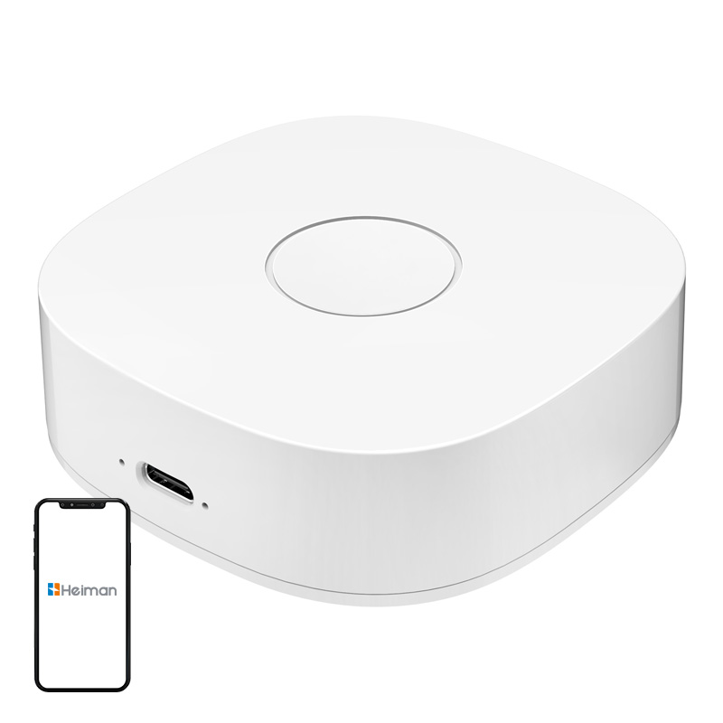 Умный дом WS2GW-R WiFi
