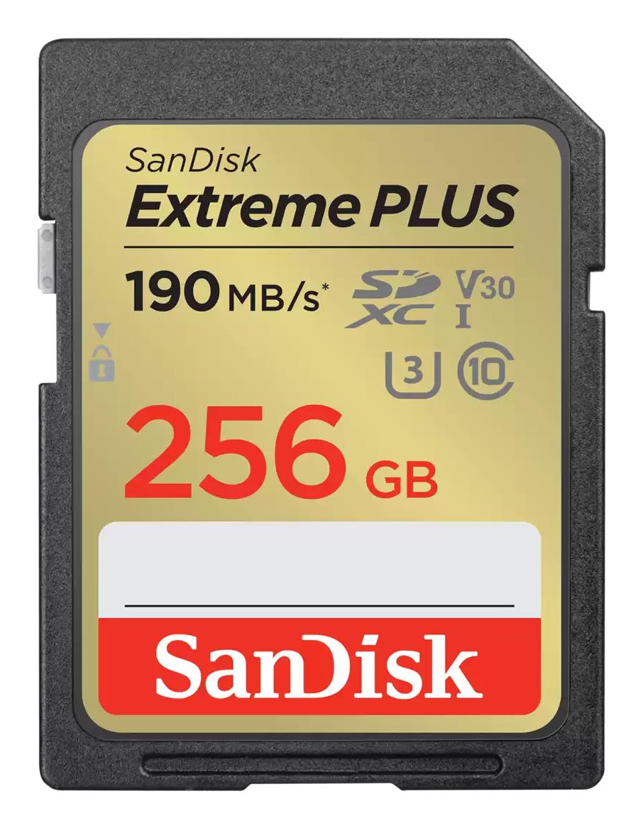 Mälu SDXC 256GB UHS-1/SDSDXWV-256G-GNCIN SANDISK