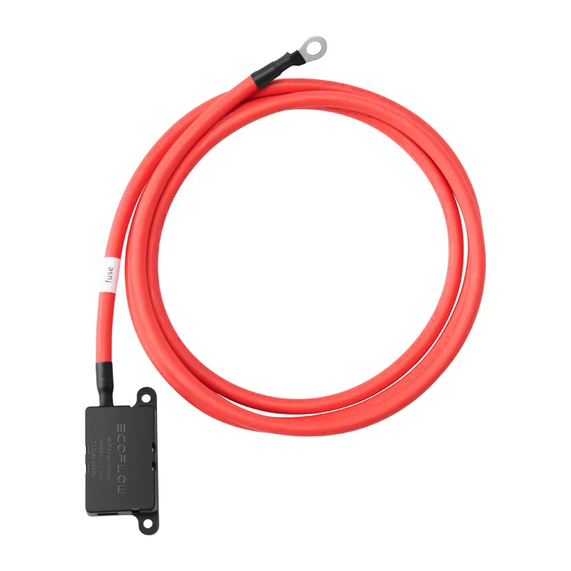 EcoFlow generaatori laadija pikenduskaabel (2 m)