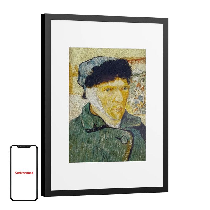 SwitchBot AI Art Frame 13.3" digitaalne fotoraam