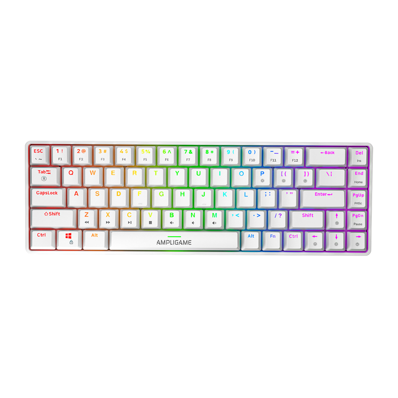 Fifine GK1W mehaaniline klaviatuur, 65% RGB (valge)
