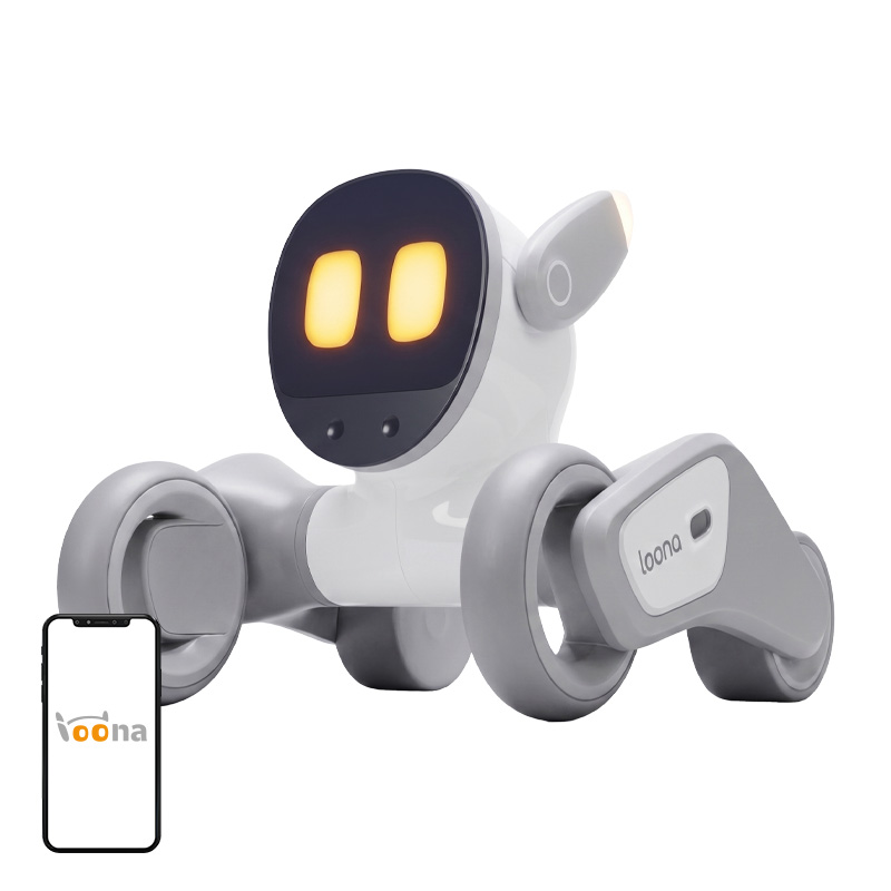 Loona Premium interaktiivne robot