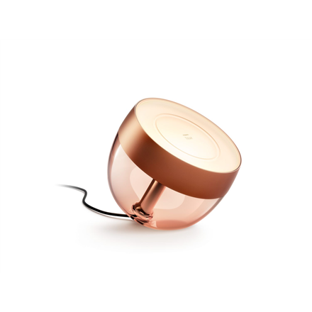 Philips Hue Hue Iris Portable Lamp, Copper Special Edition Copper/brass Portable lamp