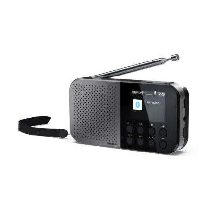 Sharp Osaka DR-P520(GY) tasku-digitaalraadio Bluetoothiga