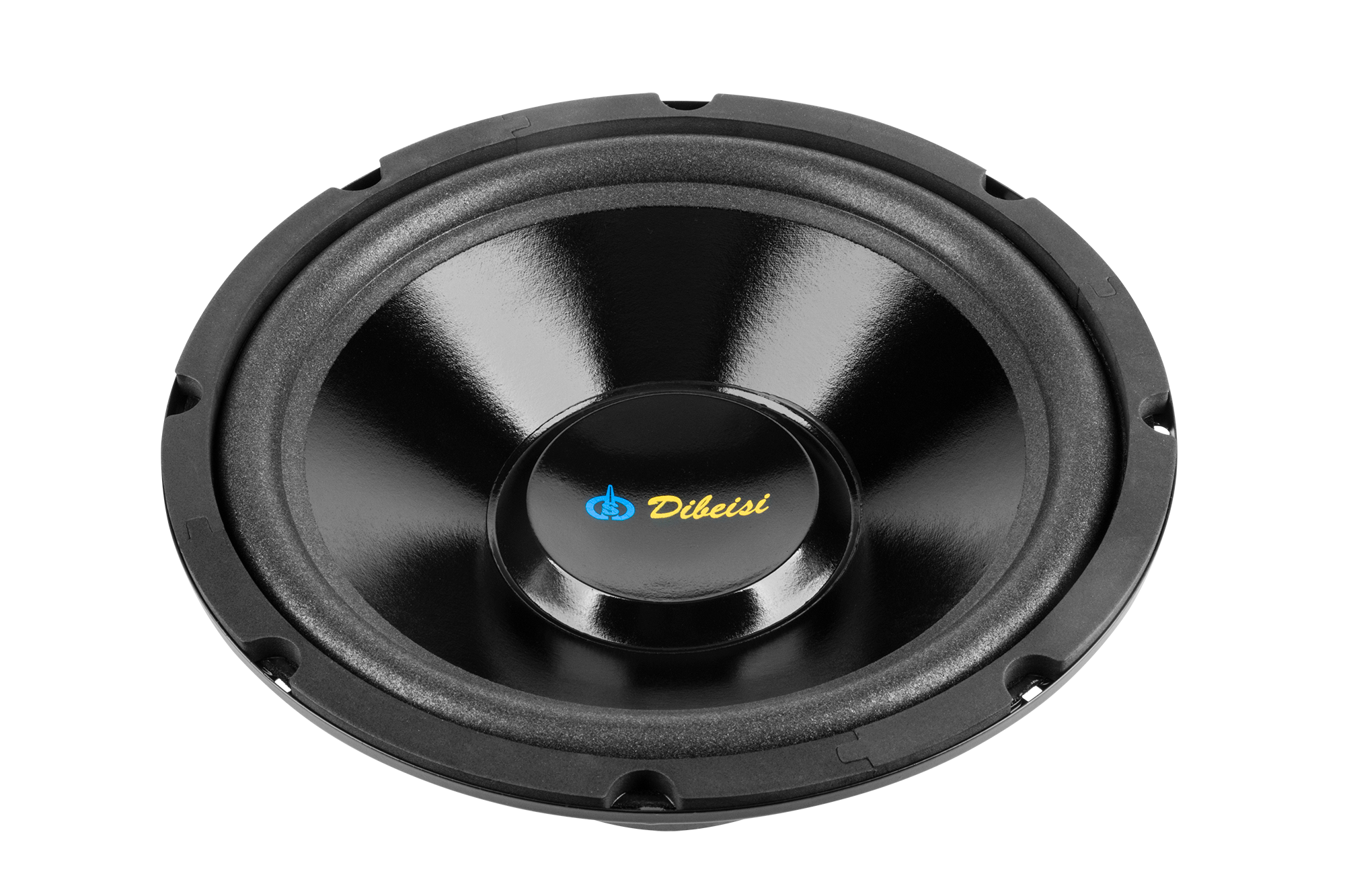 10-tolline kõlar DBS-G1001, 8 oomi