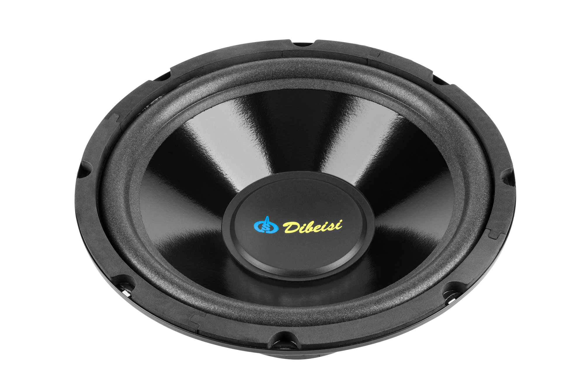 10-tolline kõlar DBS-G1002, 8 oomi